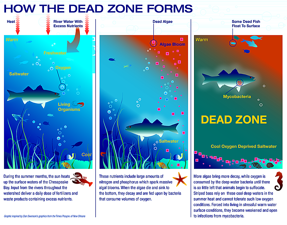 instal the last version for mac Dead Zone Adventure